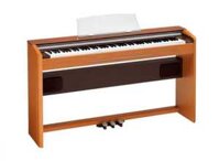 Piano Điện Casio PX800