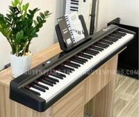 Piano Điện Gấp Gọn Wersi WI-15Pro