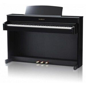 Đàn Piano Điện Kawai PW 700 (PW700) - hàng cũ
