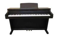 Piano điện Kawai PW810