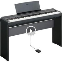 Piano Điện Korg B1