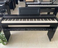 Piano điện Korg SP170