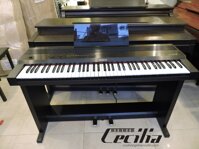 Piano điện Roland Kr33 | Piano điện Nhật Bản