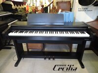 Piano điện Technics PX55 | Piano điện giá rẻ