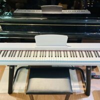 Piano Điện Victor VT-02 – Đàn đẹp + Âm Hay + Có kết nối bluetooth + Cắm được tai nghe + Ship nhận luôn trong ngày