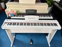 Piano Điện Victor VT02 – Mẫu Piano giá rẻ bán chạy nhất 2025