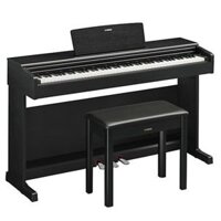 Piano Điện Yamaha Arius YDP-144R