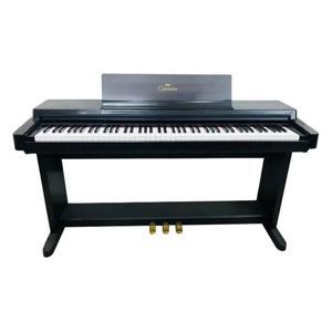 Đàn Piano Điện Yamaha Clavinova CLP-560