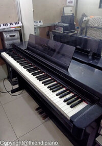 Piano Điện Yamaha CLP-560