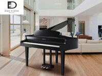 Piano Điện Yamaha CLP-695GP