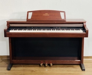 Đàn Piano Điện Yamaha Clavinova CLP-860