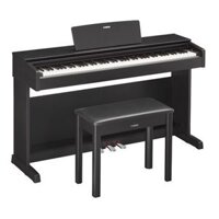 Piano Điện Yamaha YDP-143R