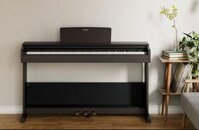 Piano điện Yamaha YDP105