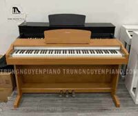 Piano điện Yamaha YDP131 C