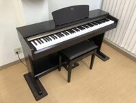 Piano Điện Yamaha YDP161