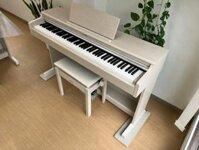 Piano Điện Yamaha YDP164WA