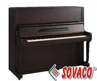 Piano Eastein B