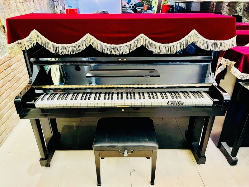 Đàn Piano Fukuyama & Sons