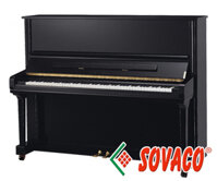 Piano Giá Rẻ Shweizertein