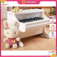 Piano mini 25 phím cao cấp, Piano điện tử Đàn ORGAN 25 phím Piano - Âm thanh chất lượng như đàn chuyên nghiệp