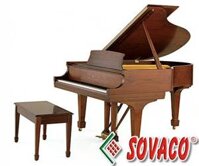 Piano Steinway & Sons M