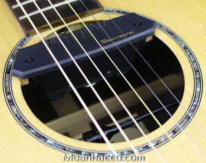 Pickup Đàn Acoustic Guitar Skysonic T-902 (Bộ thu âm Guitar)