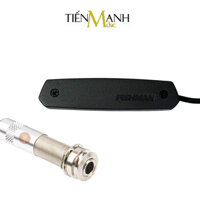 Pickup Đàn Acoustic Guitar Fishman Neo-D Humbucking NEO-DE2 (Lõi Kép)