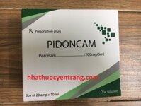 Pidoncam 1200mg/5ml ống 10ml