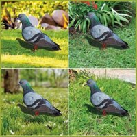 Pigeon Garden Stake 2X Thực Tế 2D Acrylic Pigeon Mô Hình Chim Cổ Phần Đất Cắm Sân Trang Trí Nghệ Thuật Chim Tượng tamvn