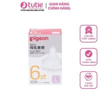 Pigeon - Núm ty cổ rộng Pigeon size L - Hàng tặng