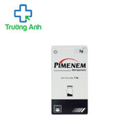 PIMENEM 1g - Thuốc điều trị bệnh nhiễm khuẩn của Pymepharco