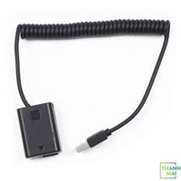 Pin ảo Dummy Sony FW50 nguồn USB