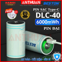 Pin Đại sạc DLC-40 BESTON Pin sạc 1.5V pin D 6000mWh/4000mAh cổng sạc Type-C tự ngắt, an toàn.