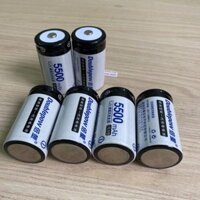 Pin đại sạc được Dowblepow 5500mAh cao cấp, dùng cho bếp ga, đèn pin, đài cassette (SP14)