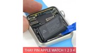 Pin đồng hồ Apple Watch series 1,2,3,4,5