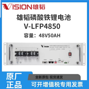 Pin Lithium – ion Vision 48V 50Ah V-LFP4850