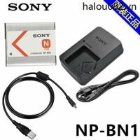 Pin máy ảnh Sony DSC-W310 W320 W330 W510 W520 + Bộ sạc + Cáp dữ liệu NP-BN1