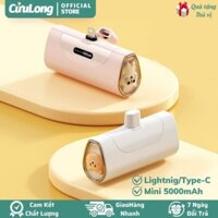 Pin Sạc Dự Phòng Mèo Gấu 5000mAh Nhỏ Gọn Mini Cầm Tay, không dây cáp nối, cục bin dự phòng dễ thương cute chính hãng
