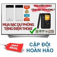 Pin sạc dự phòng Team Polymer WP10000 LCD (Trắng) tặng điện thoại Bavapen B11...