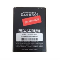 Pin sky a920 zin