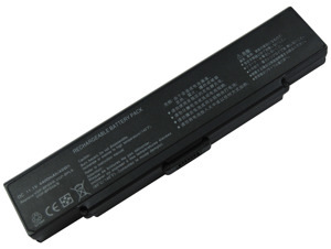 Pin Sony BPS30