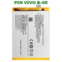 PIN VIVO B-05