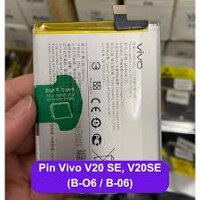 PIN VIVO V20SE (B-06) new
