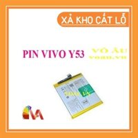PIN VIVO Y53