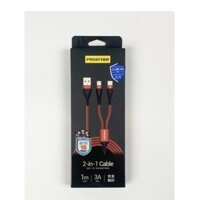 PISEN 18317 AP03 1000mm Cáp PISEN 2 trong1 (Lightning/Type-C) 3A Aluminum Alloy braided 1000mm