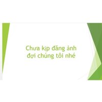 Pít Tông 173 Phụ tùng máy cày