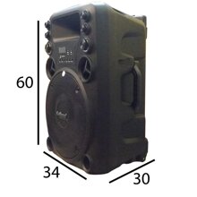 Loa kéo Caliana T012B - 3 Tấc, 350W
