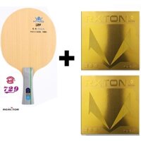[PlantViet] Combo vợt bóng bàn gồm cốt vợt 729 C-5 MAX và hai mặt vợt LOKI RXTON 3