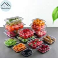 Plumhome 100 Chiếc Hộp Bao Bì Nhựa Trong Suốt Hộp Trái Cây Dùng Một Lần Bảo Quản Thực Phẩm Takeaway Bánh Ngọt Bánh Ăn Nhẹ Hộp Đóng Gói VN