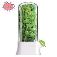 Pnpia Herb Keeper Hộp Bảo Quản Thảo Mộc Nhựa Savor Bảo Quản Cho Cilantro Mint Parsley Măng Tây Chives Posemary Boutique